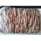 frozen Whole Calamari 13-15kg /balok 1