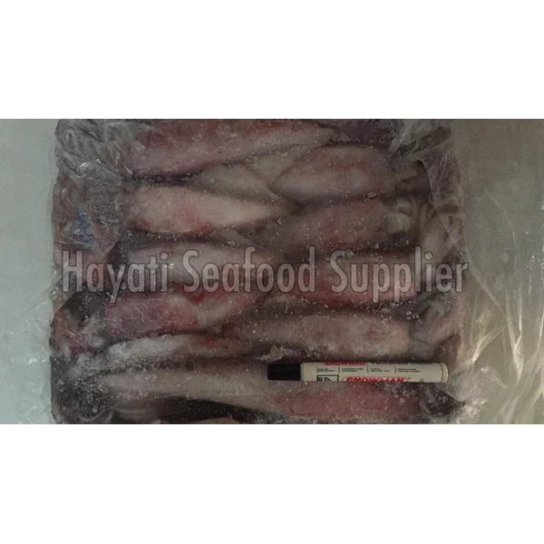 frozen Whole Calamari 13-15kg /balok