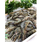 Fresh Fresh Pancet Shrimp 1 Kilogram 1