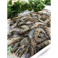 Fresh Fresh Pancet Shrimp 1 Kilogram